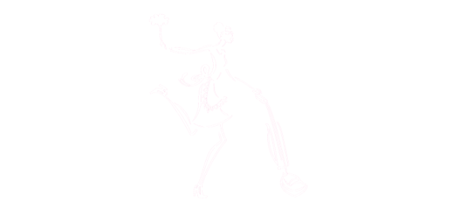 Nellie Neat Cleaning Services in North Cornwall
